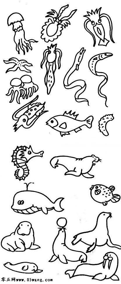 海洋生物简笔画 图画图片